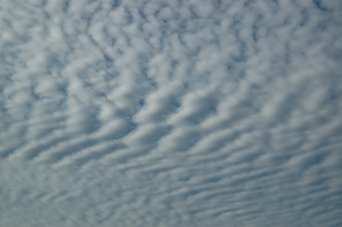 altocumulus mackerel_sky : McLeans Ridges, NSW   1 December 2006