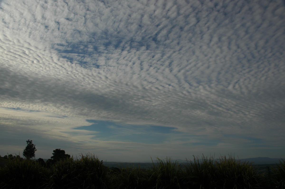 altocumulus undulatus : McLeans Ridges, NSW   1 December 2006