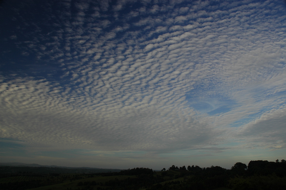 altocumulus mackerel_sky : McLeans Ridges, NSW   1 December 2006