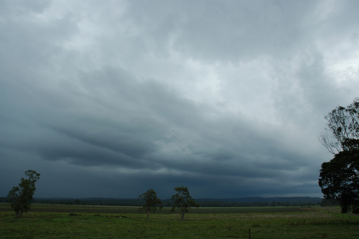 cumulonimbus thunderstorm_base : W of Casino, NSW   3 December 2006