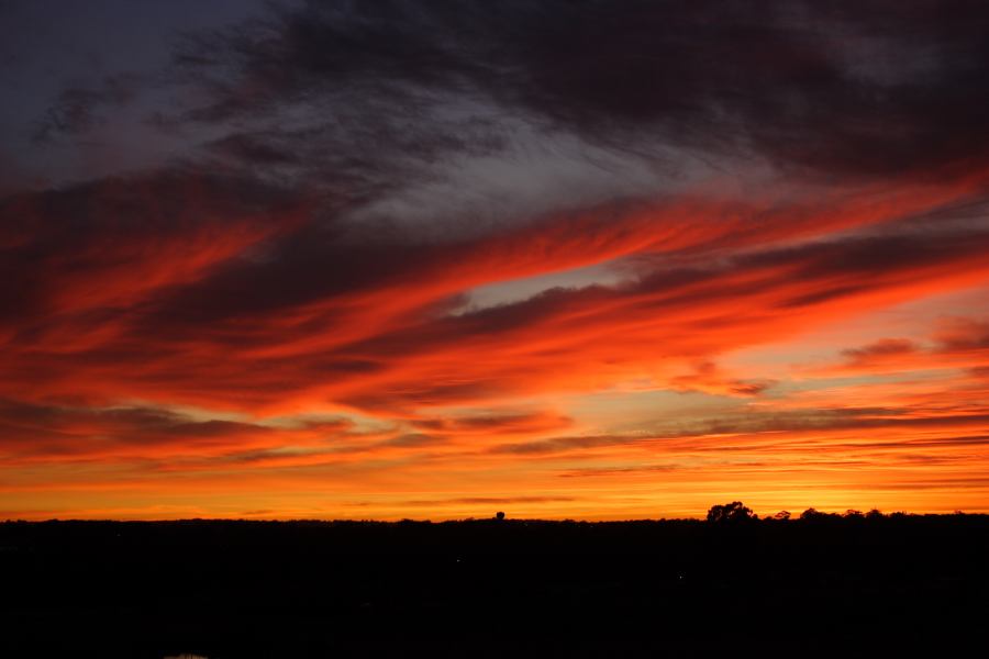 sunrise sunrise_pictures : Schofields, NSW   6 December 2006