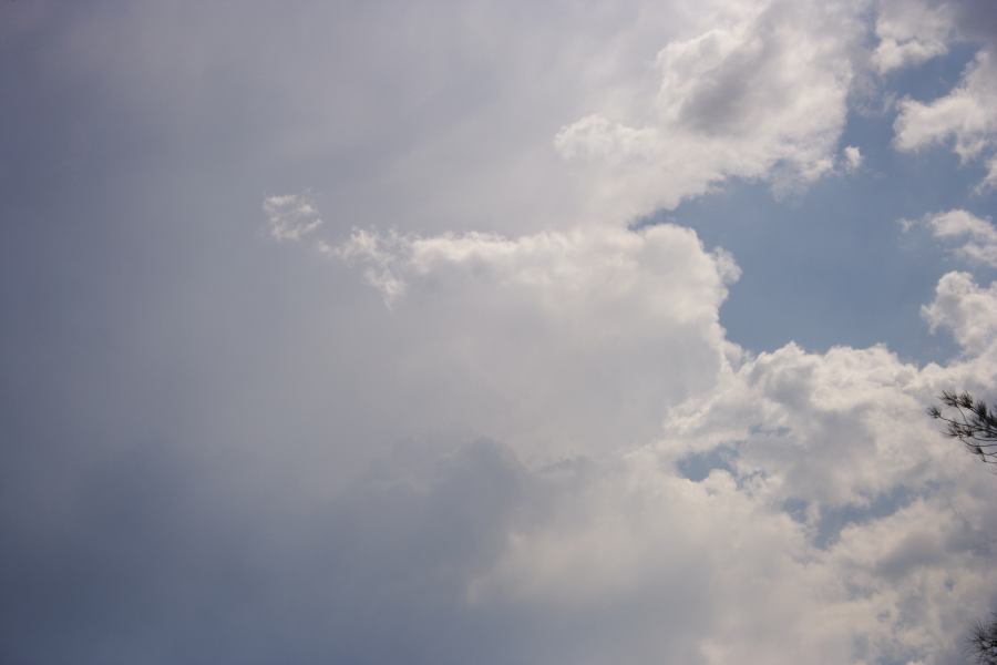 anvil thunderstorm_anvils : Shalvey, NSW   11 December 2006