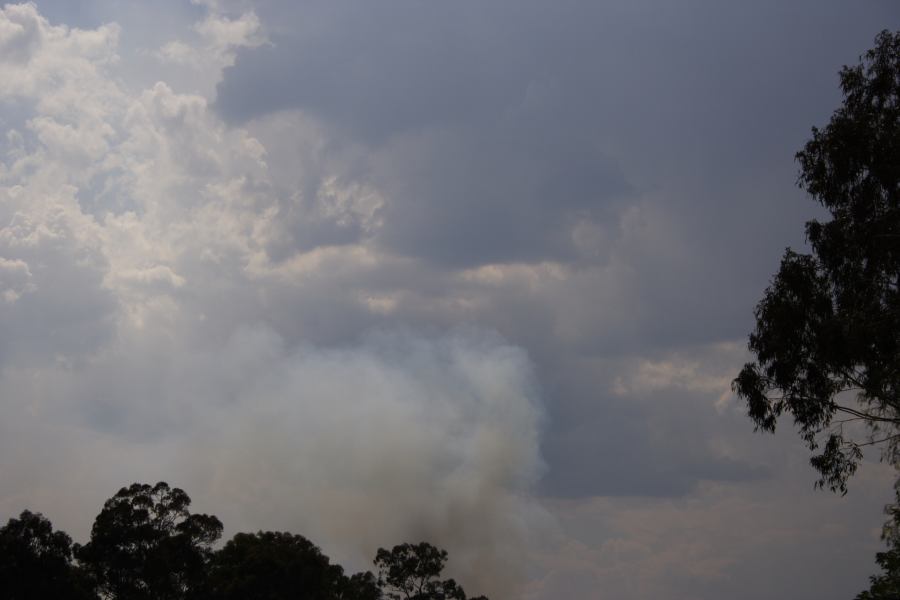 bushfire wild_fire : Shalvey, NSW   11 December 2006