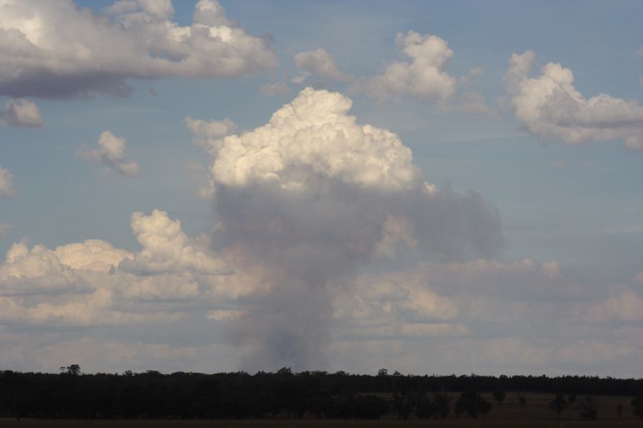 cumulus mediocris : E of Premer, NSW   13 December 2006