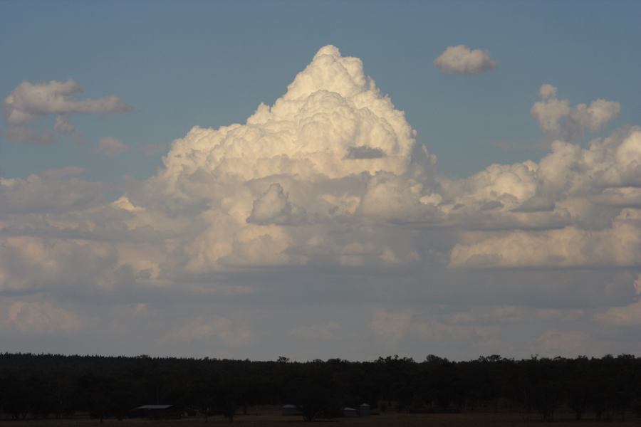 cumulus mediocris : E of Premer, NSW   13 December 2006