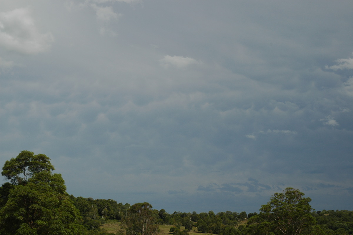 mammatus mammatus_cloud : near Coraki, NSW   14 December 2006