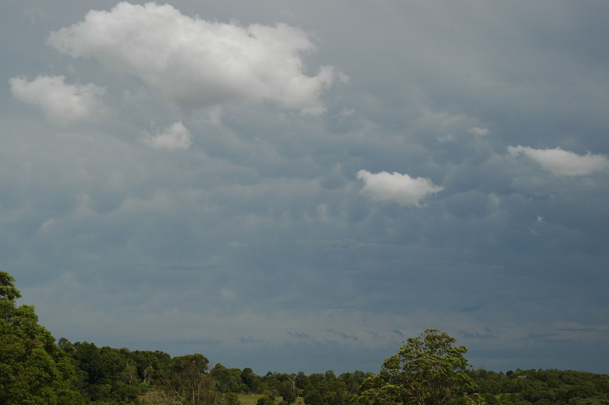 mammatus mammatus_cloud : near Coraki, NSW   14 December 2006