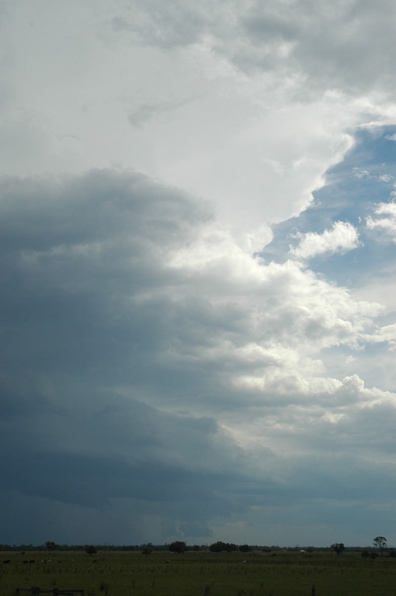 cumulonimbus thunderstorm_base : McKees Hill, NSW   14 December 2006