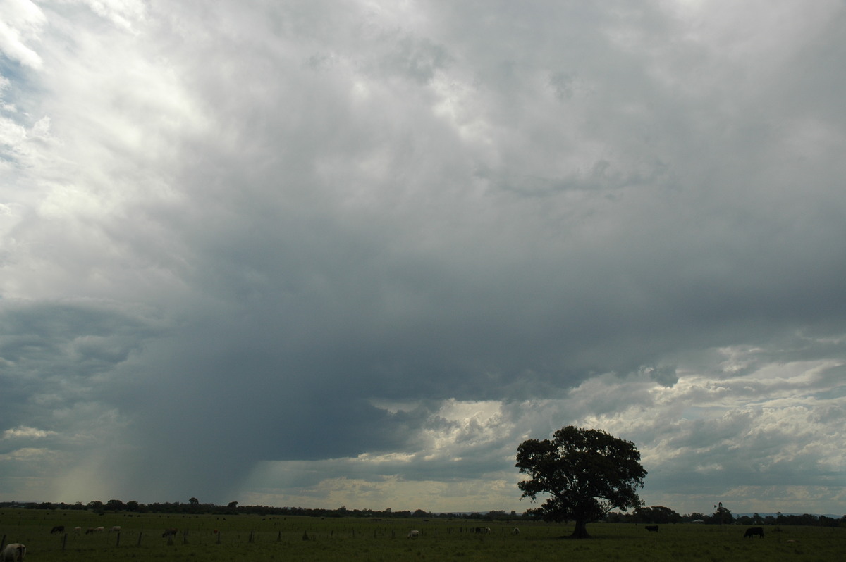 raincascade precipitation_cascade : McKees Hill, NSW   14 December 2006