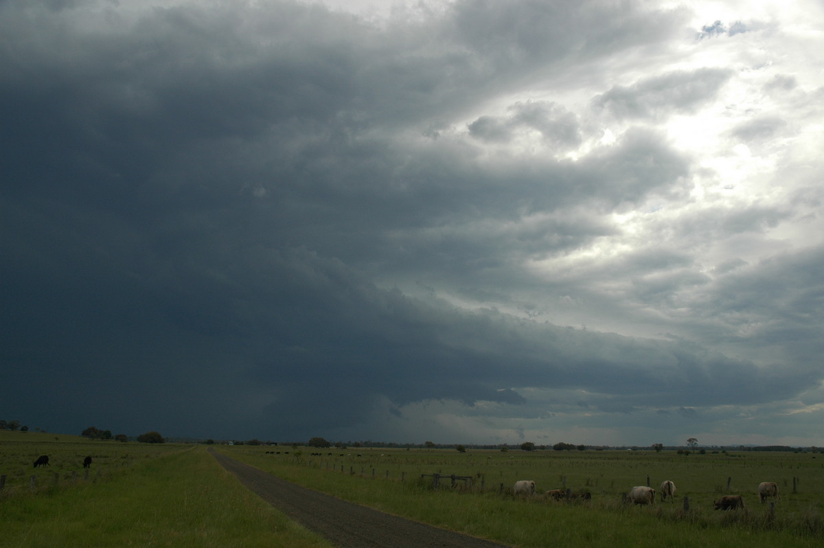 shelfcloud shelf_cloud : McKees Hill, NSW   14 December 2006