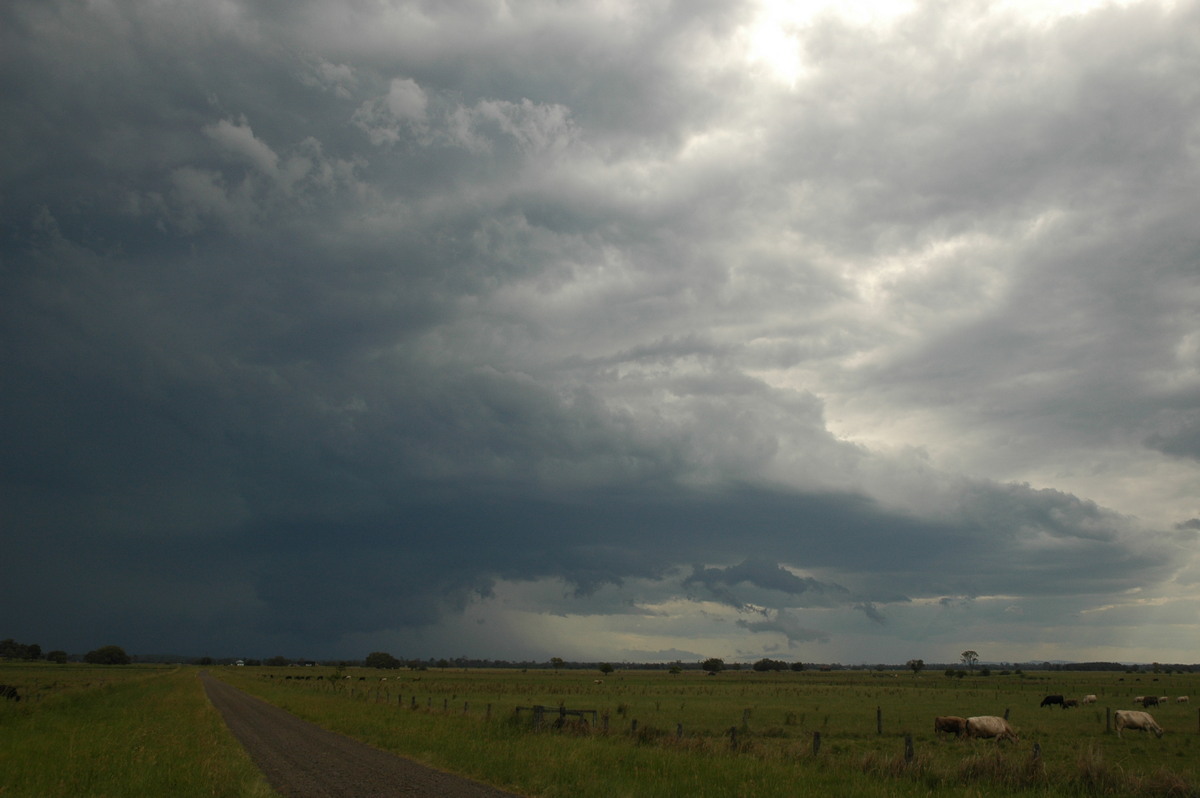 shelfcloud shelf_cloud : McKees Hill, NSW   14 December 2006