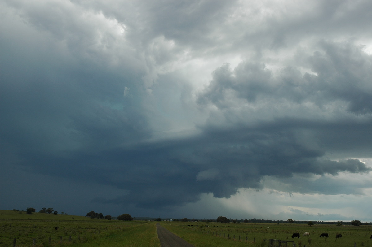 wallcloud thunderstorm_wall_cloud : McKees Hill, NSW   14 December 2006