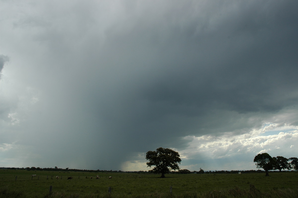 raincascade precipitation_cascade : McKees Hill, NSW   14 December 2006