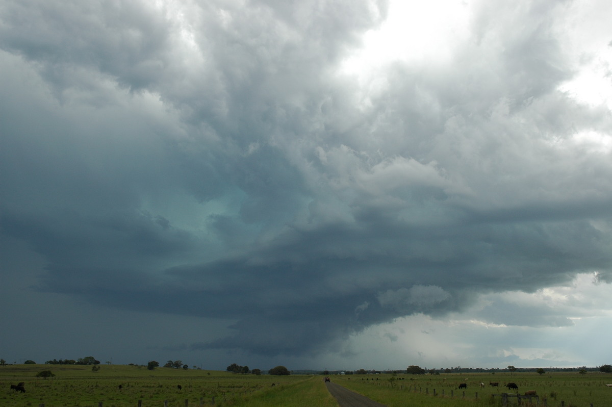 wallcloud thunderstorm_wall_cloud : McKees Hill, NSW   14 December 2006