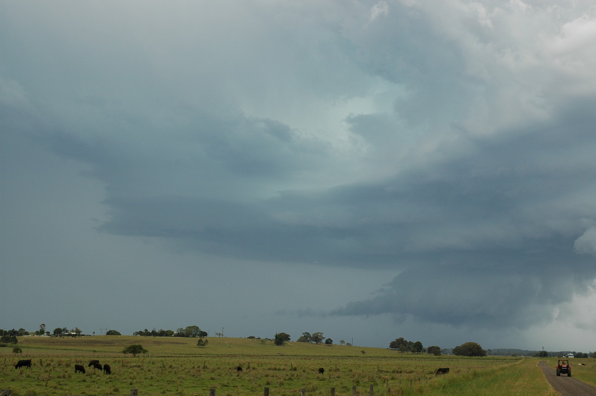 cumulonimbus supercell_thunderstorm : McKees Hill, NSW   14 December 2006