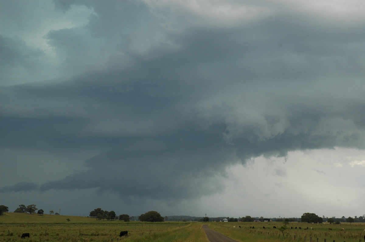 wallcloud thunderstorm_wall_cloud : McKees Hill, NSW   14 December 2006