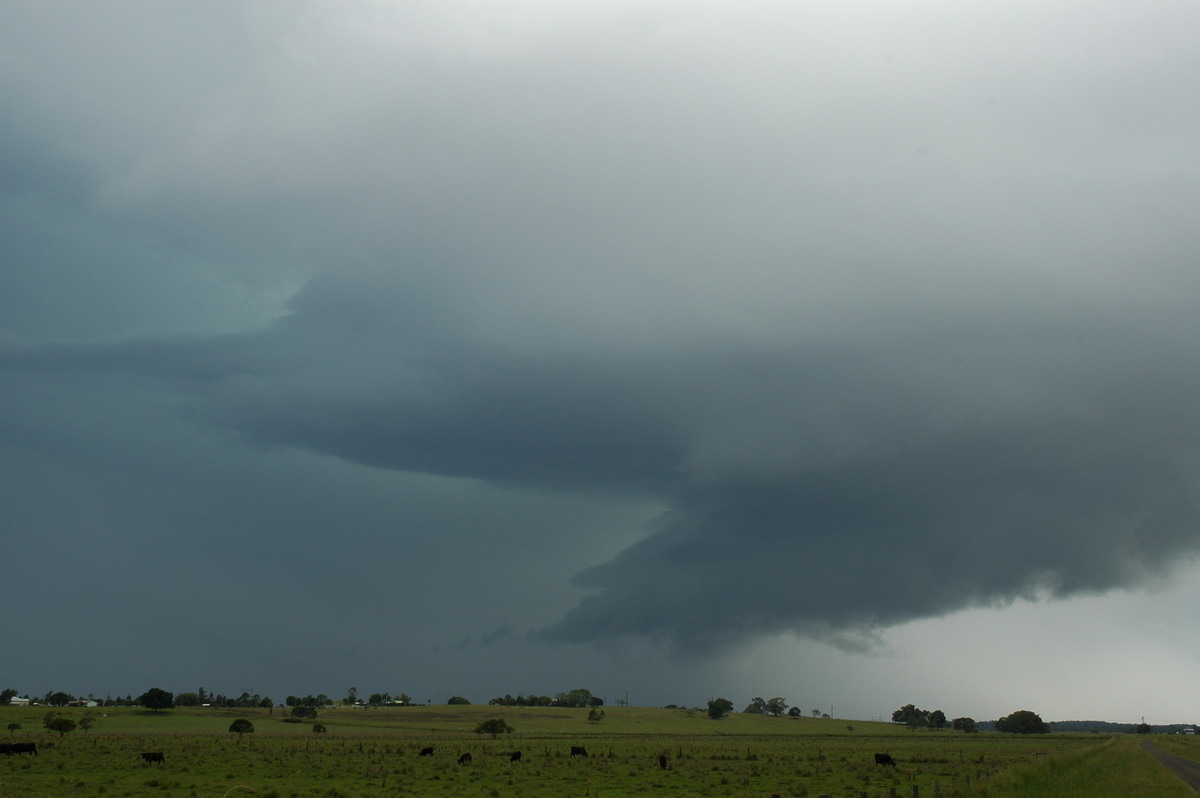 wallcloud thunderstorm_wall_cloud : McKees Hill, NSW   14 December 2006