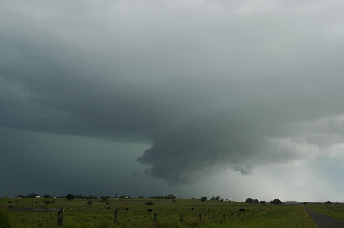 raincascade precipitation_cascade : McKees Hill, NSW   14 December 2006