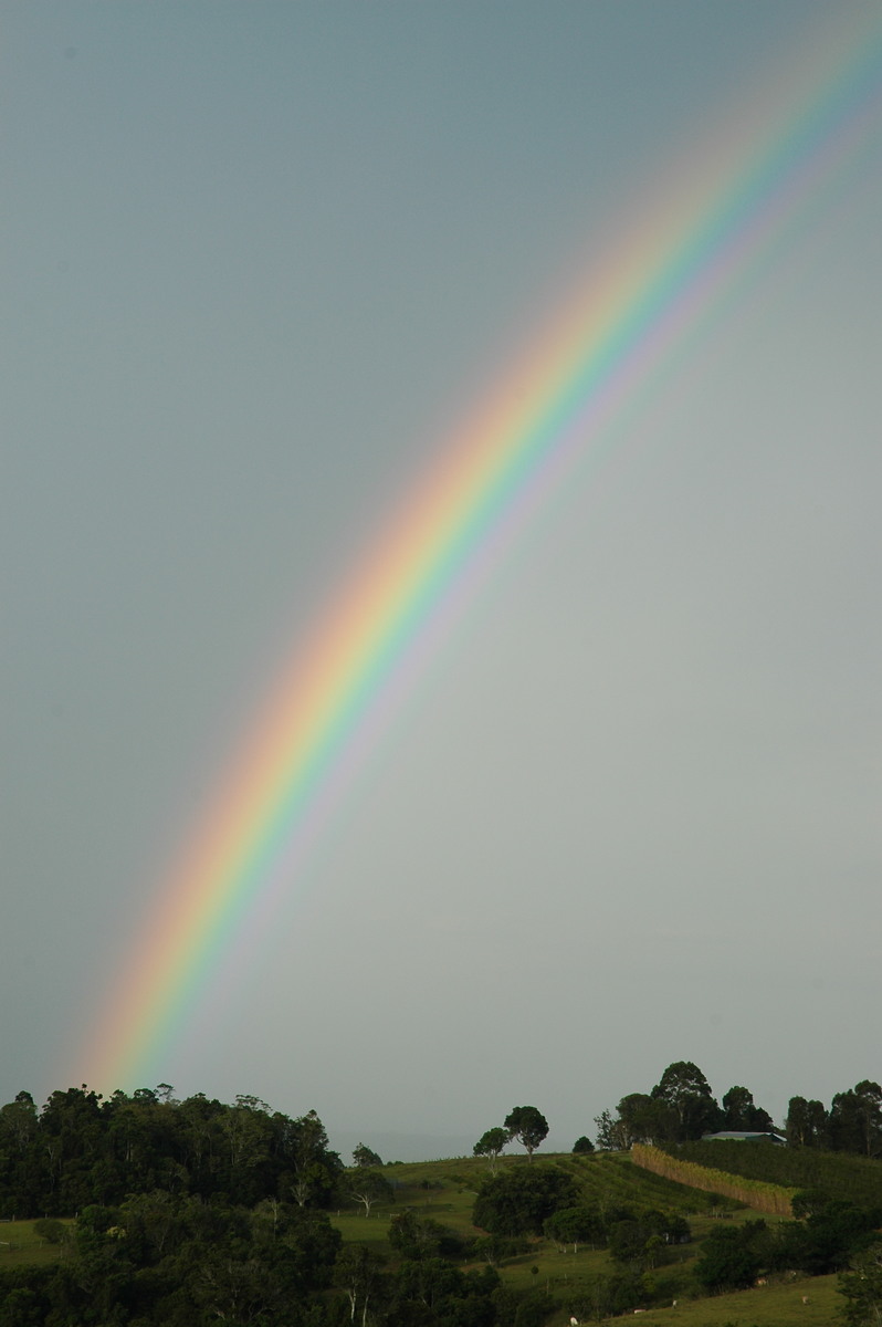 rainbow rainbow_pictures : McLeans Ridges, NSW   14 December 2006