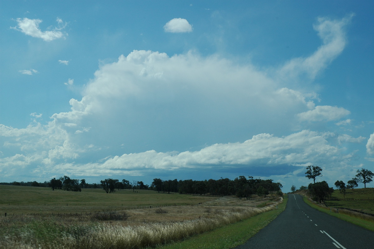 anvil thunderstorm_anvils : W of Tenterfield, NSW   16 December 2006