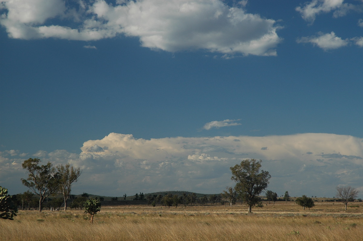 thunderstorm cumulonimbus_incus : near Texas, QLD   16 December 2006