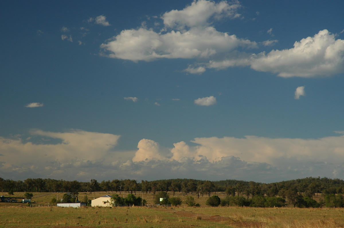 thunderstorm cumulonimbus_incus : near Texas, QLD   16 December 2006