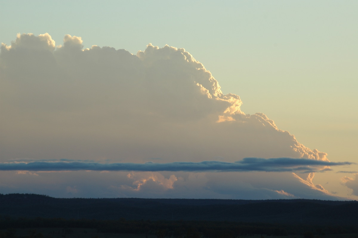cumulus congestus : near Texas, QLD   16 December 2006