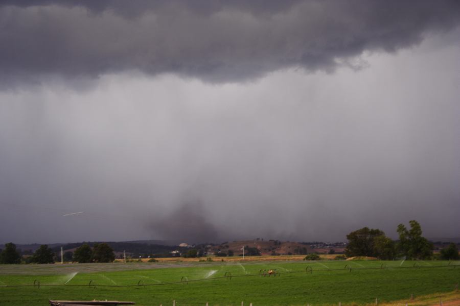 shelfcloud shelf_cloud : Singleton, NSW   24 December 2006