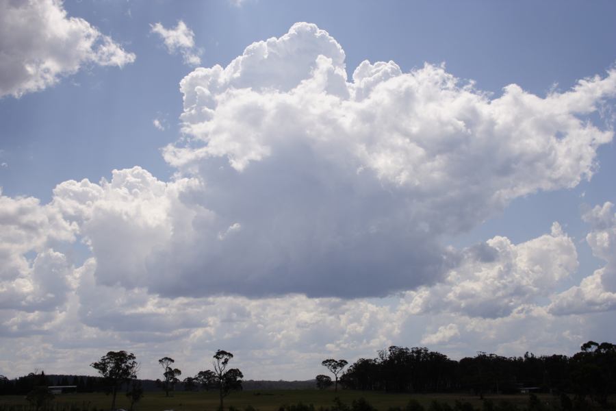 cumulus mediocris : Mittagong, NSW   28 December 2006