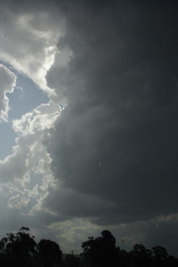 updraft thunderstorm_updrafts : N of Hilltop, NSW   28 December 2006