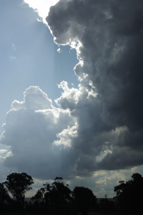 updraft thunderstorm_updrafts : N of Hilltop, NSW   28 December 2006