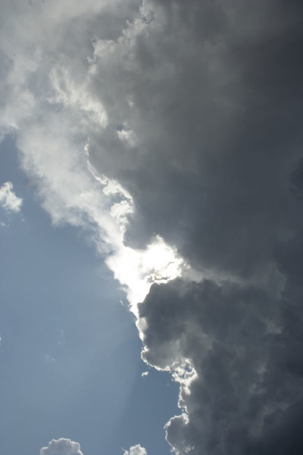 updraft thunderstorm_updrafts : N of Hilltop, NSW   28 December 2006