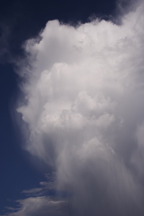 updraft thunderstorm_updrafts : Thirlmere, NSW   28 December 2006