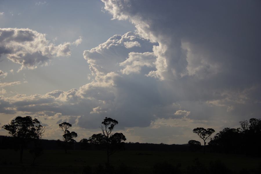 thunderstorm cumulonimbus_calvus : Mittagong, NSW   28 December 2006