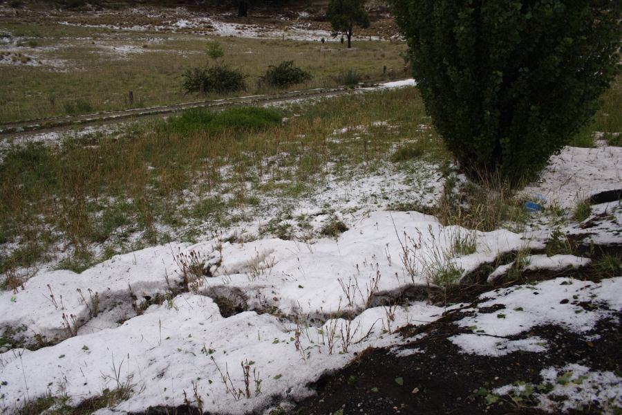 hailstones hail_stones : near Sunny Corner Yetholme, NSW   30 December 2006