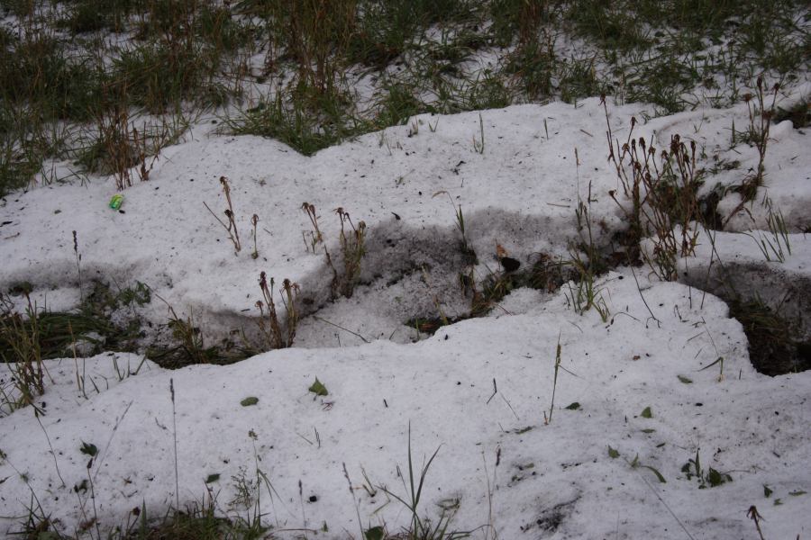 hailstones hail_stones : near Sunny Corner Yetholme, NSW   30 December 2006