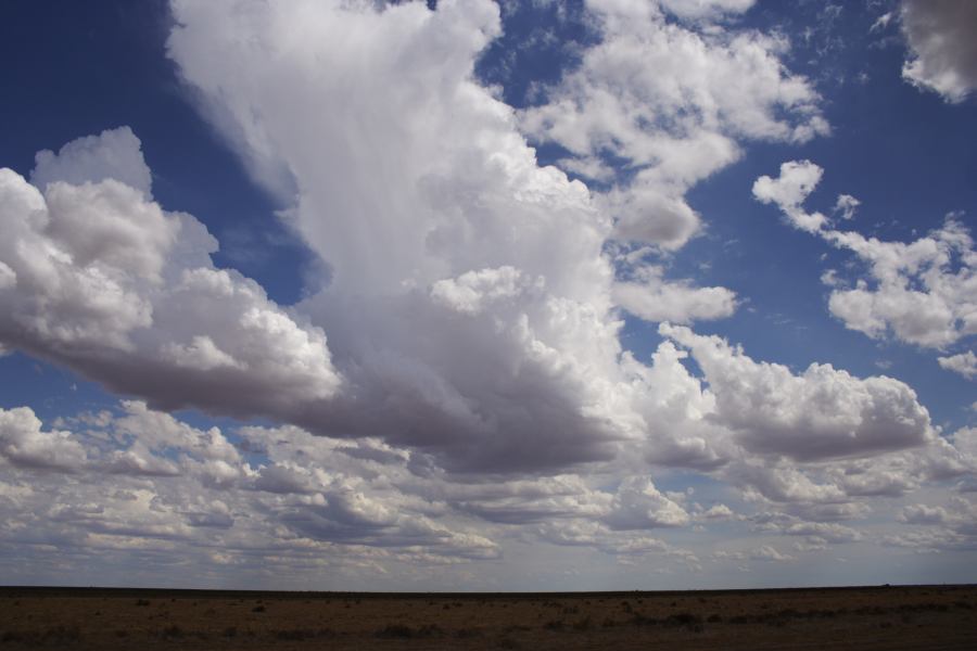 thunderstorm cumulonimbus_incus : 20km E of Hay, NSW   31 December 2006