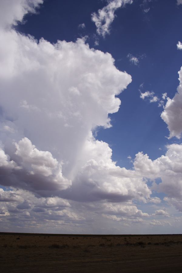 cumulus mediocris : 20km E of Hay, NSW   31 December 2006