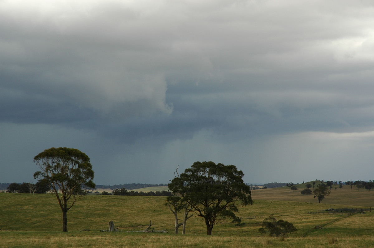 cumulonimbus thunderstorm_base : near Ebor, NSW   31 December 2006