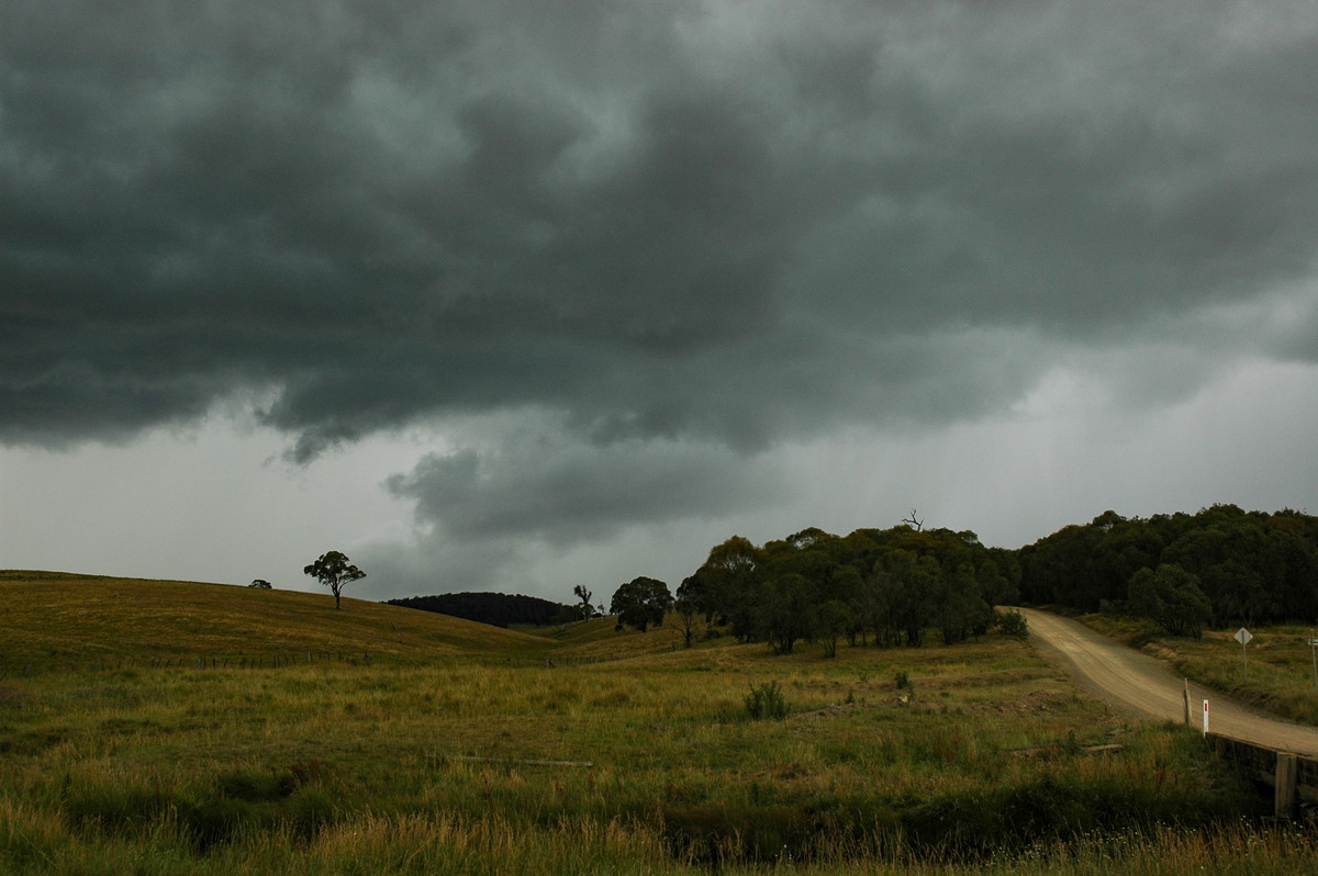 cumulonimbus thunderstorm_base : near Ebor, NSW   31 December 2006