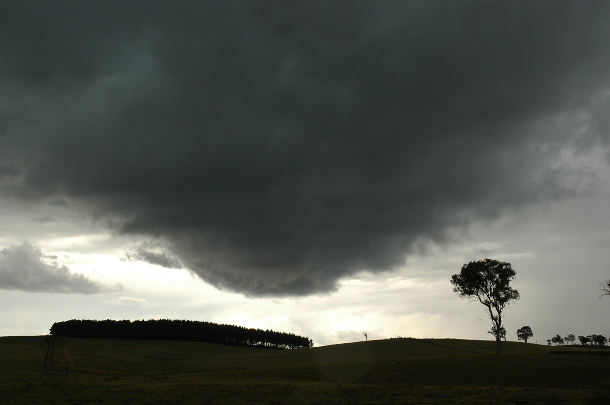 cumulonimbus thunderstorm_base : near Ebor, NSW   31 December 2006