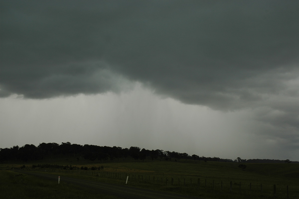 cumulonimbus thunderstorm_base : near Ebor, NSW   31 December 2006