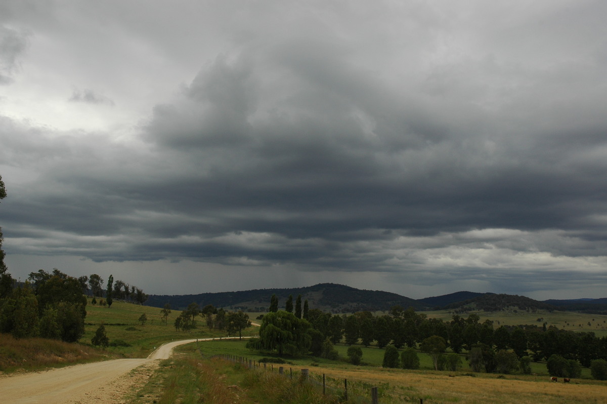 stratocumulus stratocumulus_cloud : near Glen Innes, NSW   31 December 2006