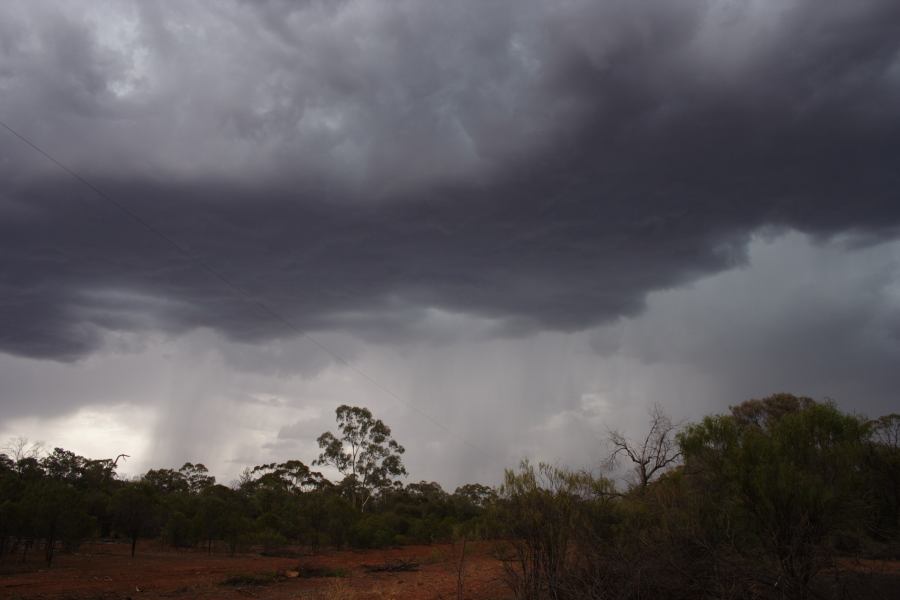 raincascade precipitation_cascade : 30km E of Cobar, NSW   1 January 2007