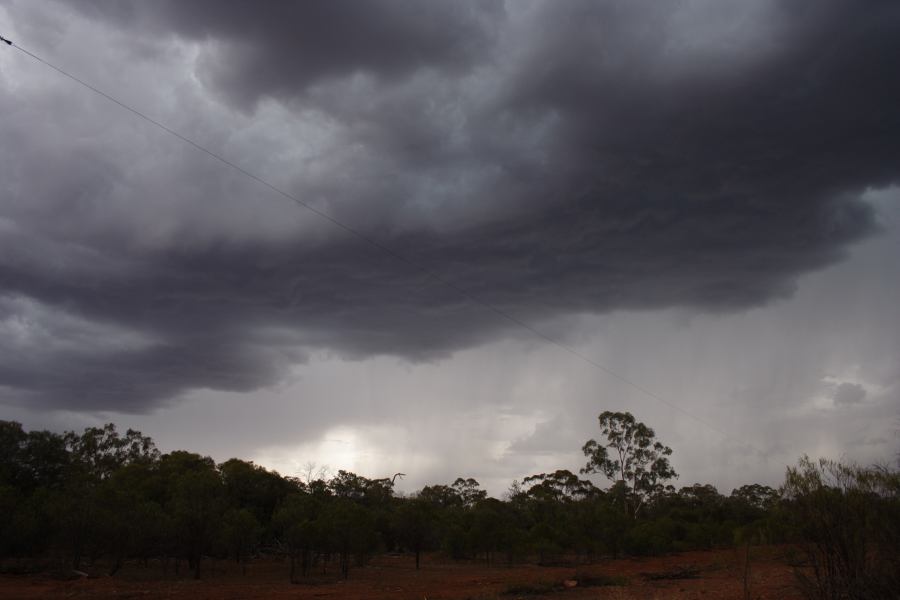 cumulonimbus thunderstorm_base : 30km E of Cobar, NSW   1 January 2007