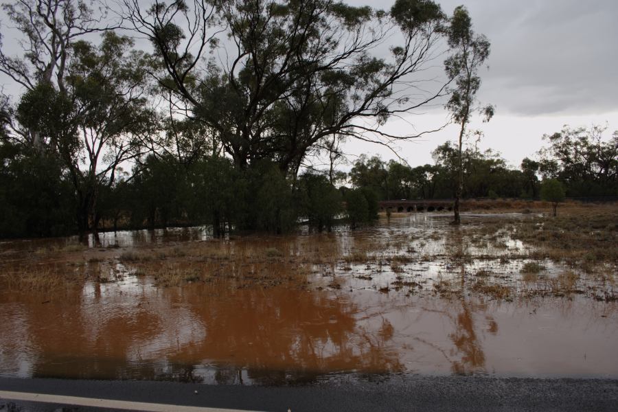 flashflooding flood_pictures : ~40km E of Cobar, NSW   1 January 2007