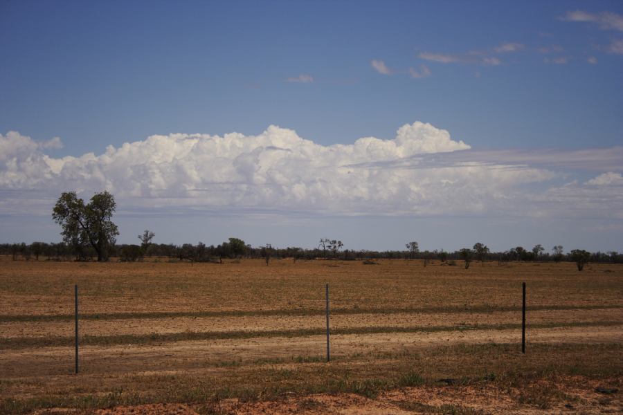 thunderstorm cumulonimbus_calvus : ~20km N of Barringun, NSW   2 January 2007