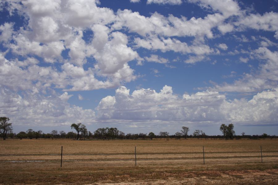 altocumulus castellanus : ~20km N of Barringun, NSW   2 January 2007