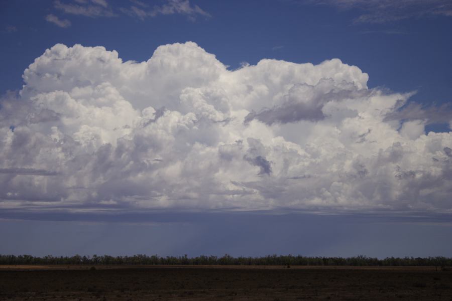 thunderstorm cumulonimbus_incus : ~20km N of Barringun, NSW   2 January 2007