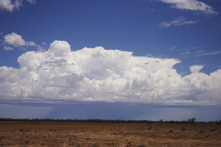 thunderstorm cumulonimbus_incus : ~20km N of Barringun, NSW   2 January 2007